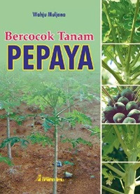 Image of Bercocok Tanam Pepaya