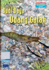 Image of Budi Daya Udang Galah